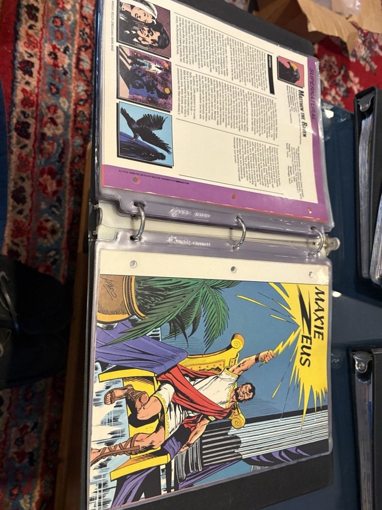 Comic Book Bio Binders