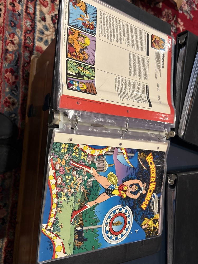 Comic Book Bio Binders