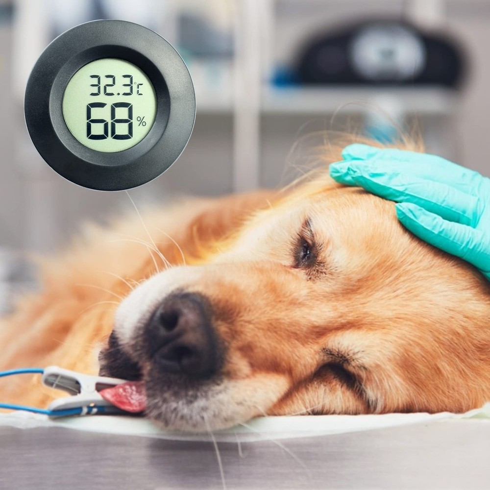 Small Electronic LCD Digital Thermometer Hygrometer Round Temperature Humidit...