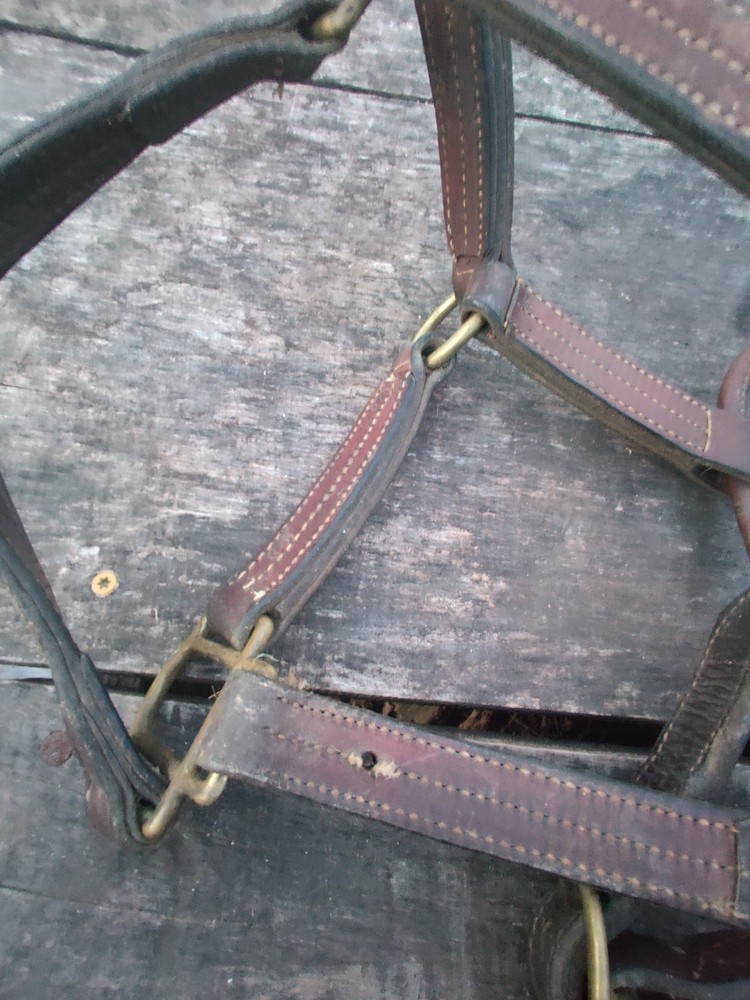 Horse Halter Copper Hardware