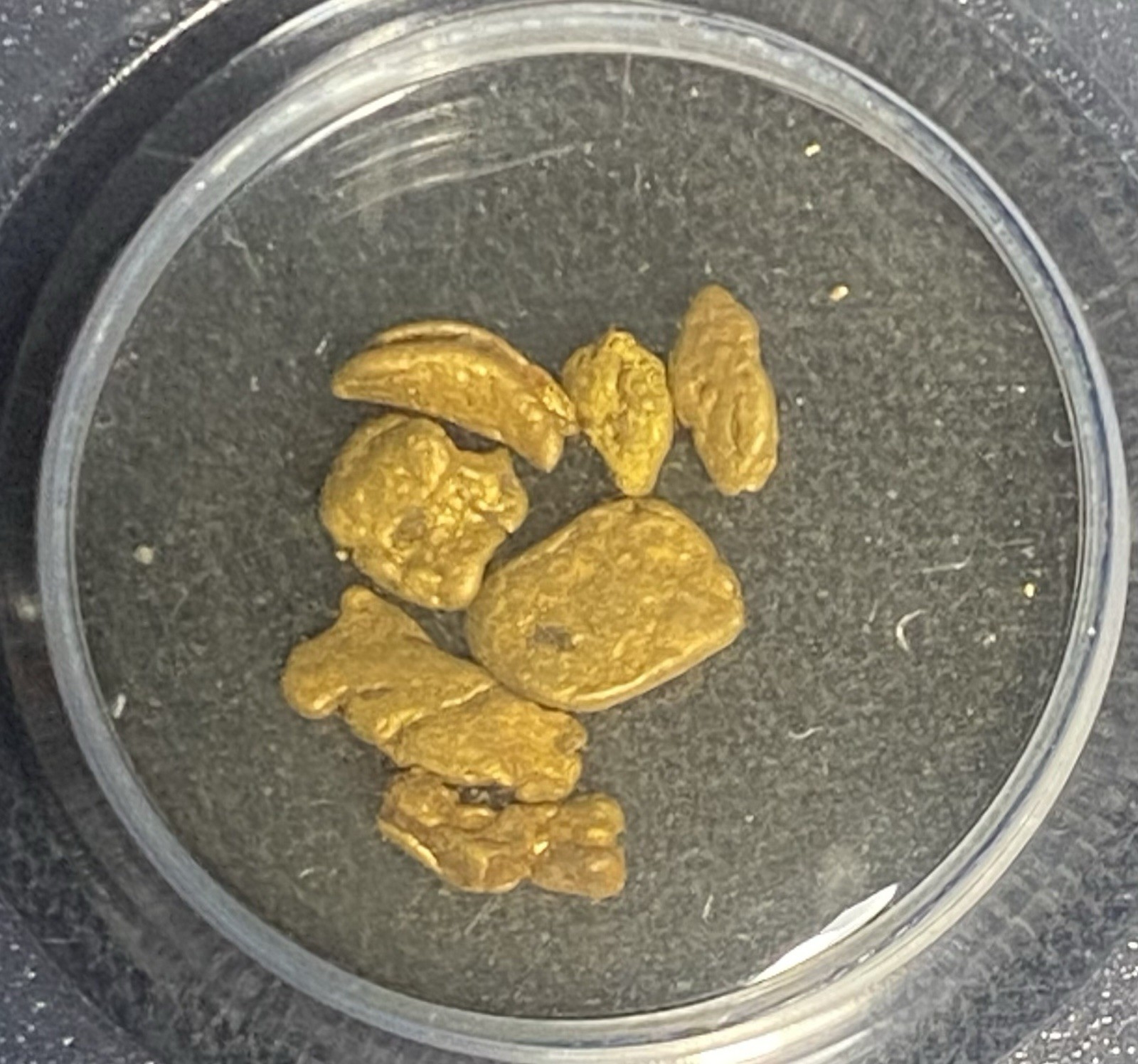 GOLD SS Central America SHIPWRECK 1857 SEA SALVAGED California Rush Nuggets PCGS