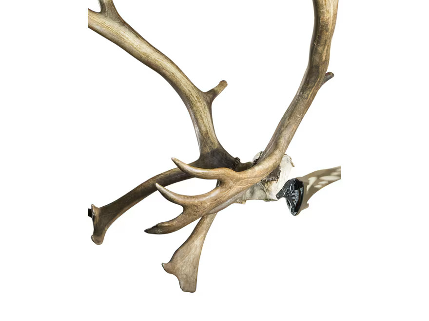 Skull Hooker XXL Bone Bracket Antler Mounting Kit