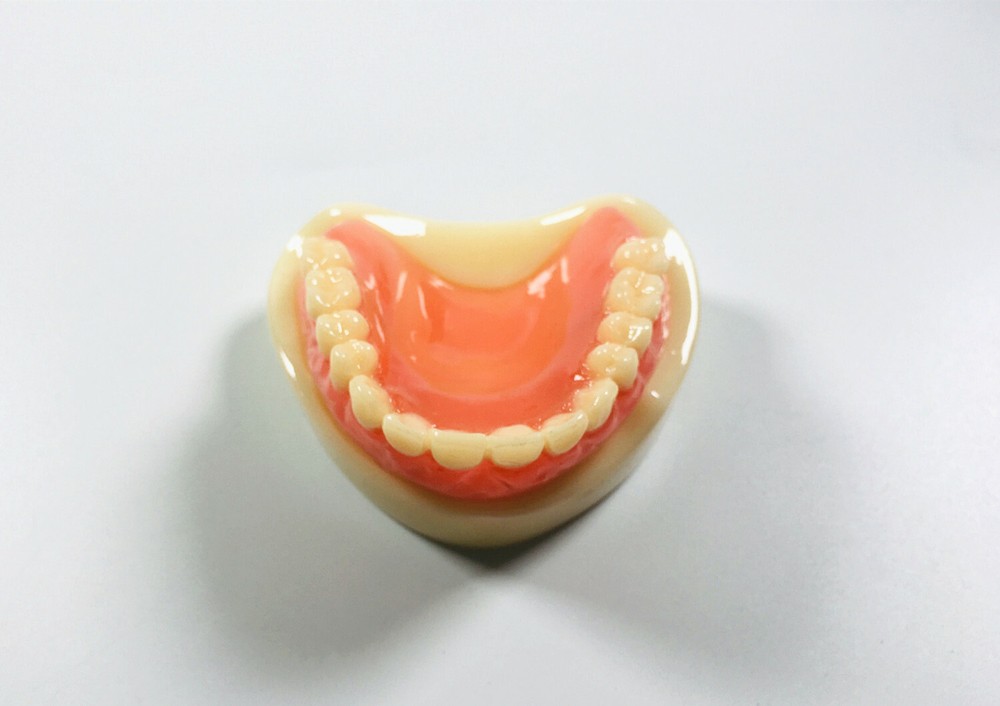 Dental Full Denture Model Magnetic Attachment Mandibular Upper/Lower Study