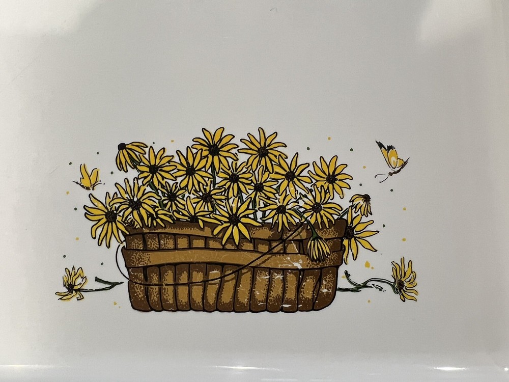 RARE Sterilite Trays-8