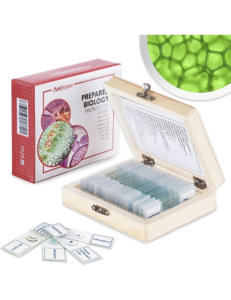 AmScope 25 Prepared Biological Microscope Glass Slides - Open box