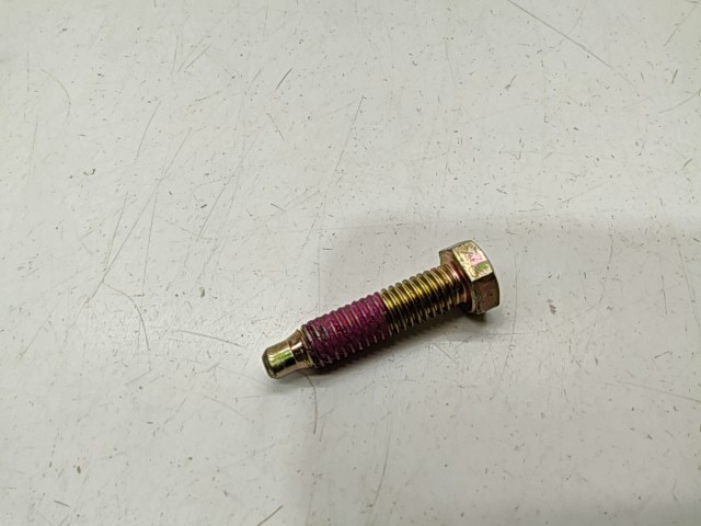 Screw - 2000 Polaris NOS