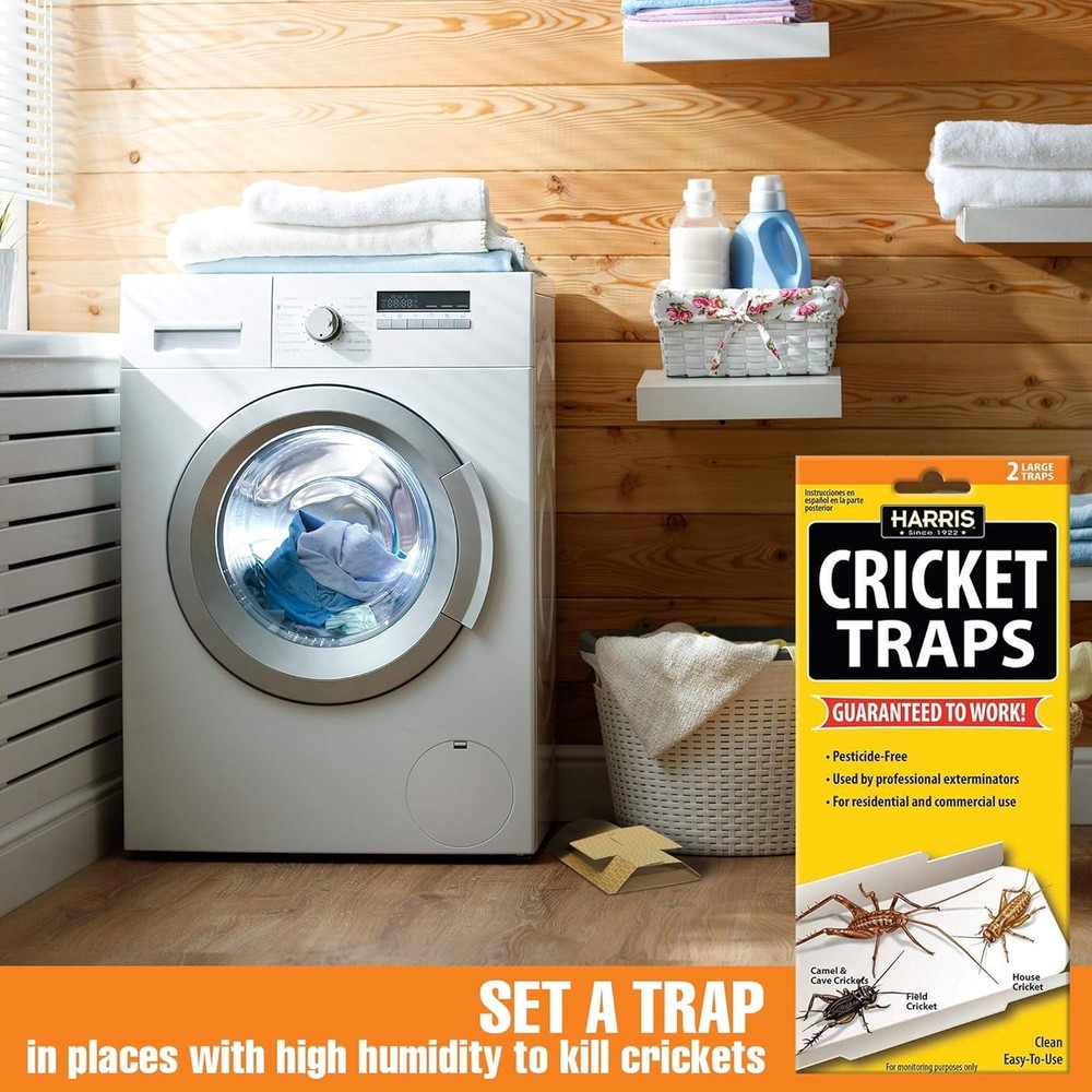 Cricket Glue Traps 2-Pack: Reliable, Easy Assembly & Subtle Design for Homes