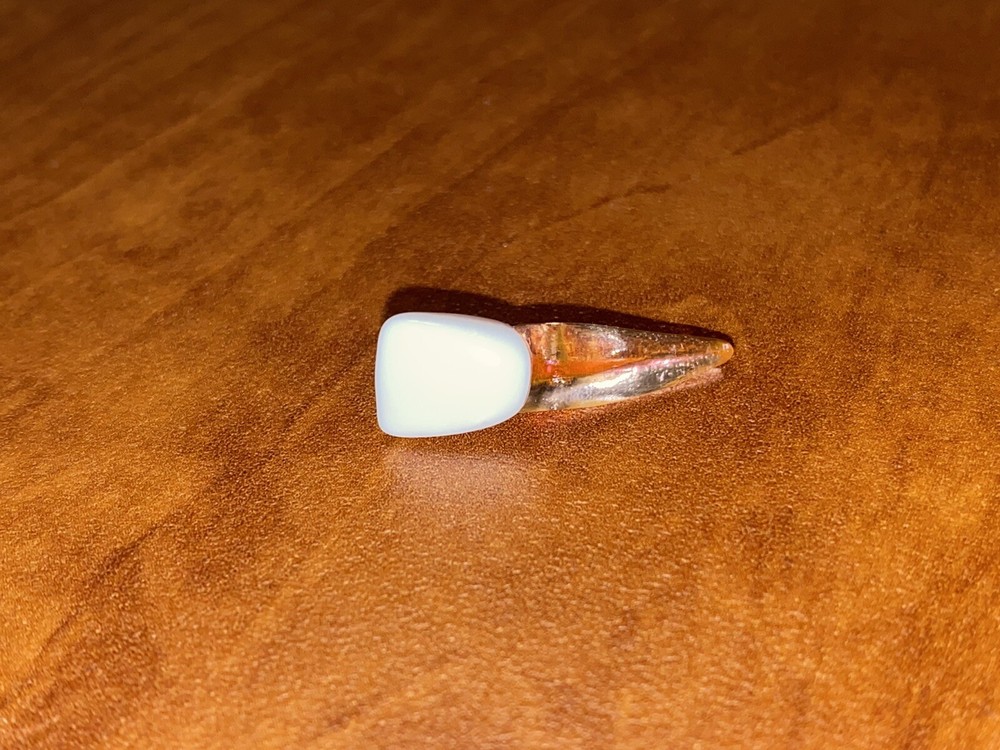 tooth 8 real-t endo series