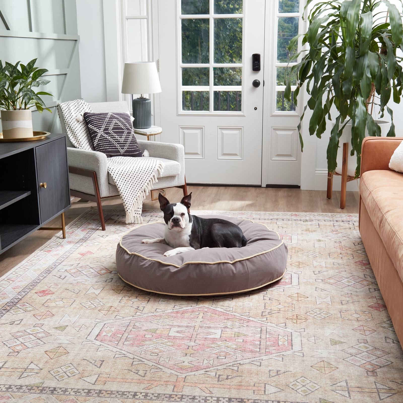 Scout Deluxe Round Microfiber Pillow Dog Bed