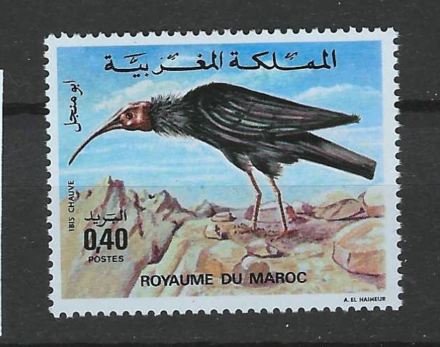 Morocco 1975 birds  MNH (s181)