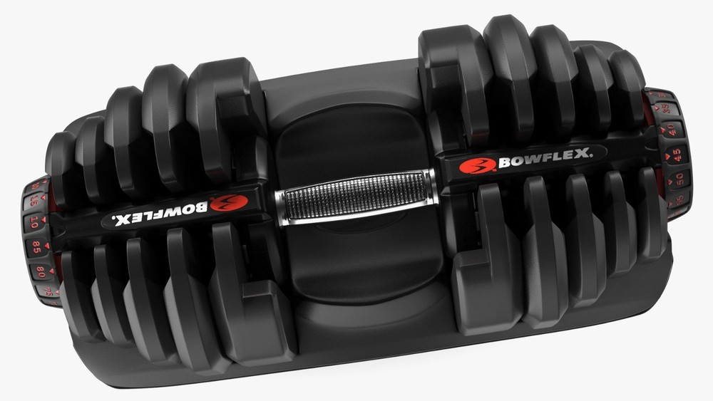 Bowflex SelectTech 1090 Dumbbell Replacement Weight Plates Choose: 1 2 3 4 5