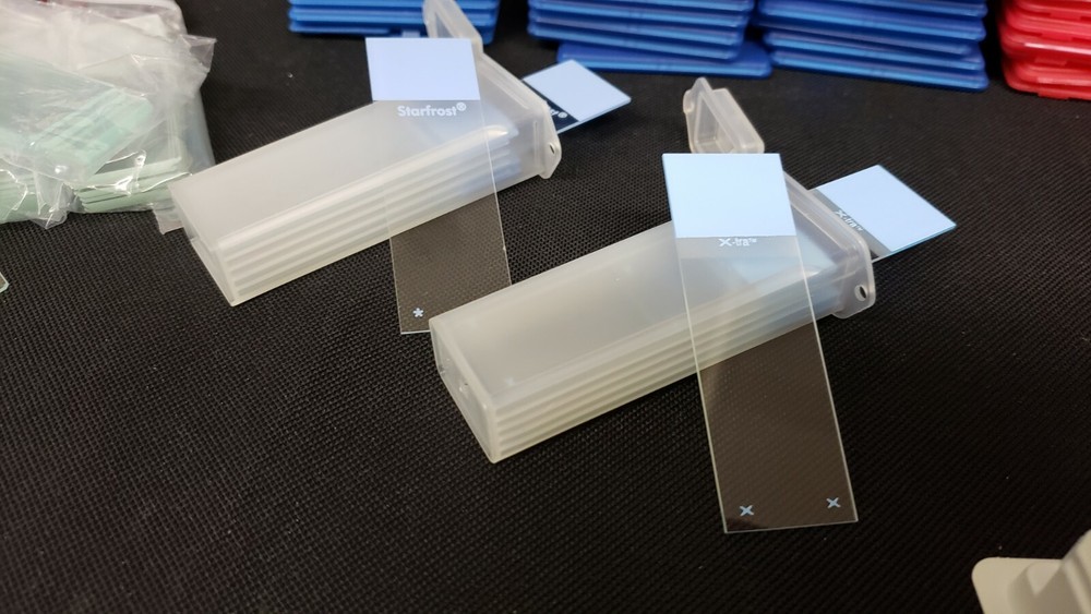 300+ High Quality Blank Microscope Slides With Storage Boxes - NEW