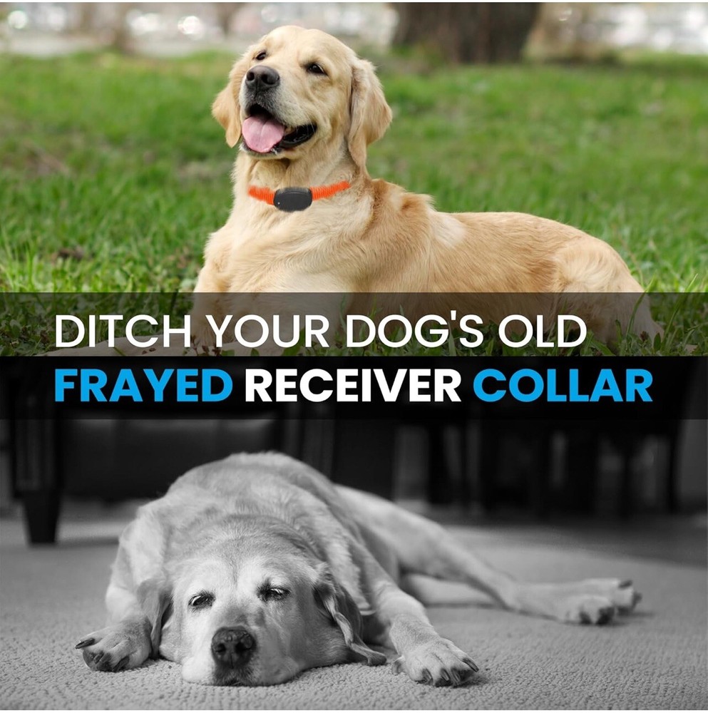 Nylon E Collar Replacement Strap - Shock Collar Replacement Collar Red