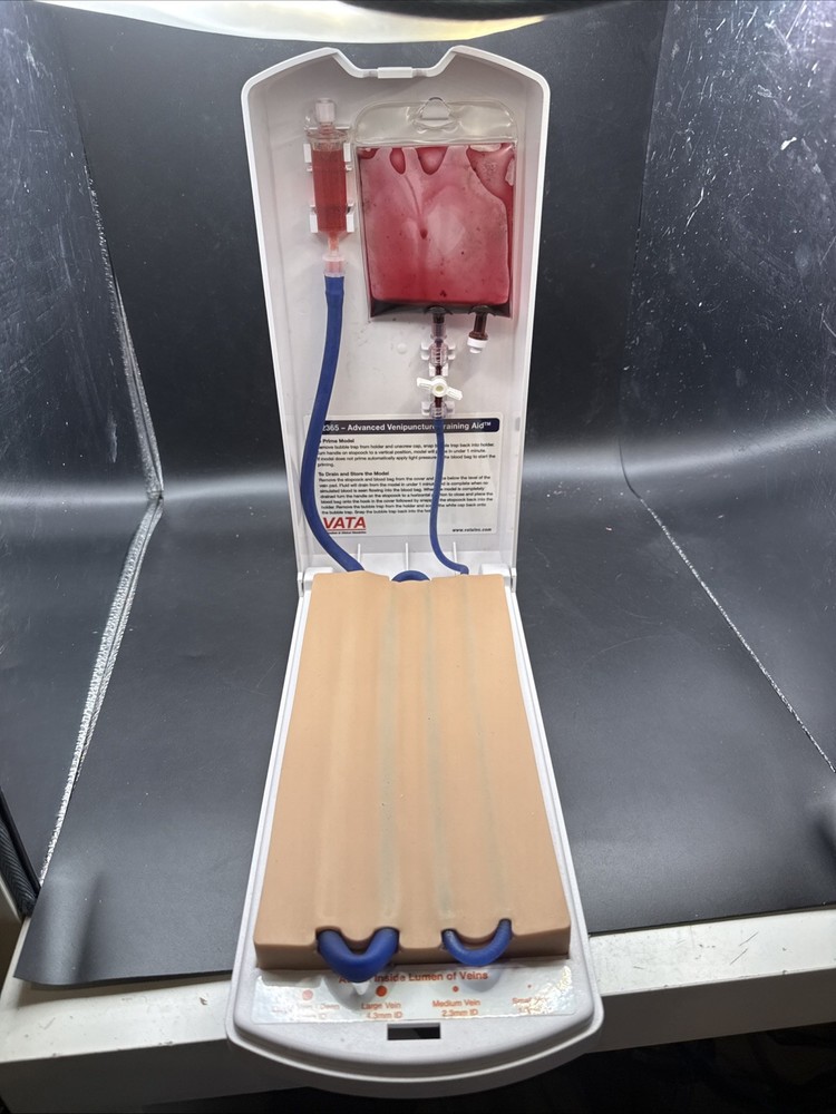 VATA Advanced 4-Vein Venipuncture Training Aid 2365 Teaching Model