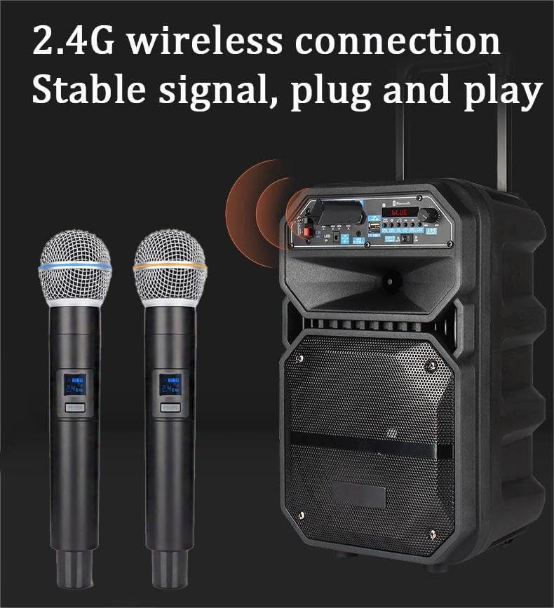 Dual Wireless Karaoke Microphone System Professional 2.4G