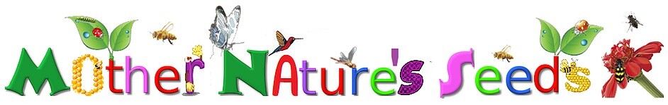 Landscaper's Pack Cornflower Bachelor Button DWARF MIX Non-GMO 1500 Seeds!