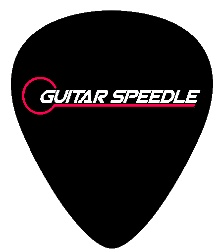 Guitar Pick Sampler Picks Randomly Chosen 1 3 6 12 Choose Qty
