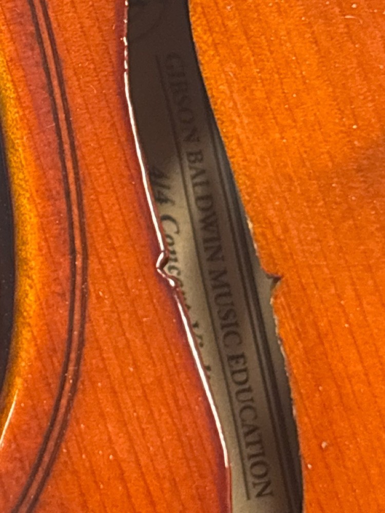 VIOLIN (HPB015511)