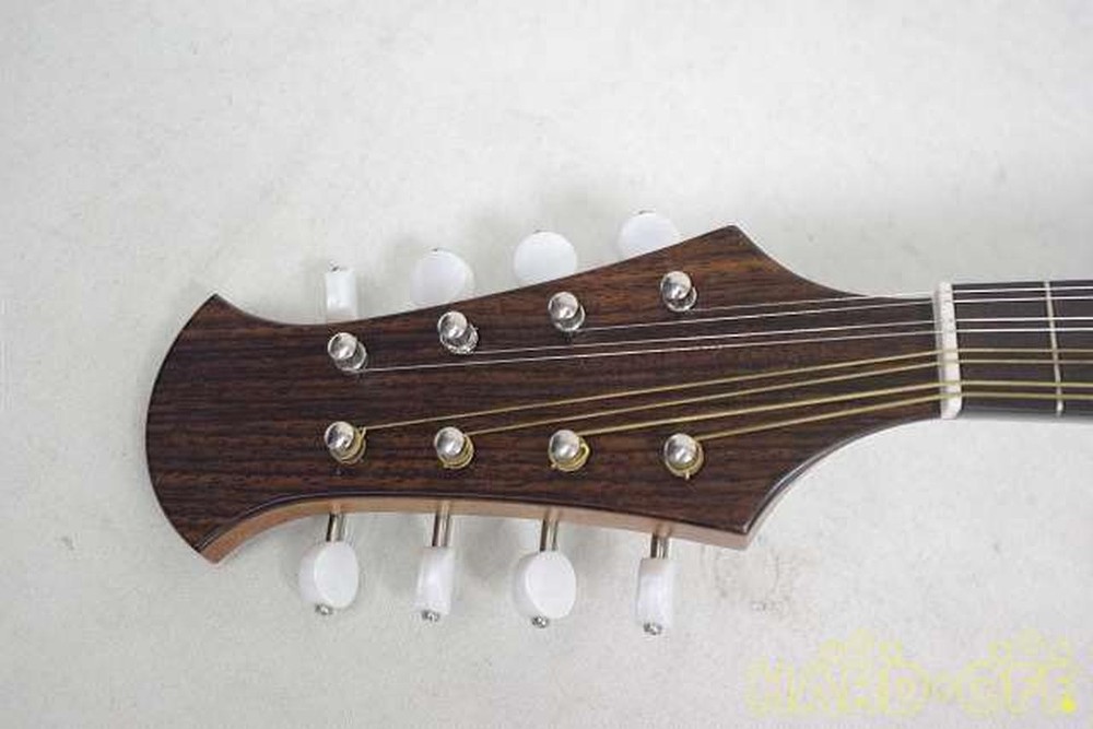 Miyano M-1 Mandolin-01