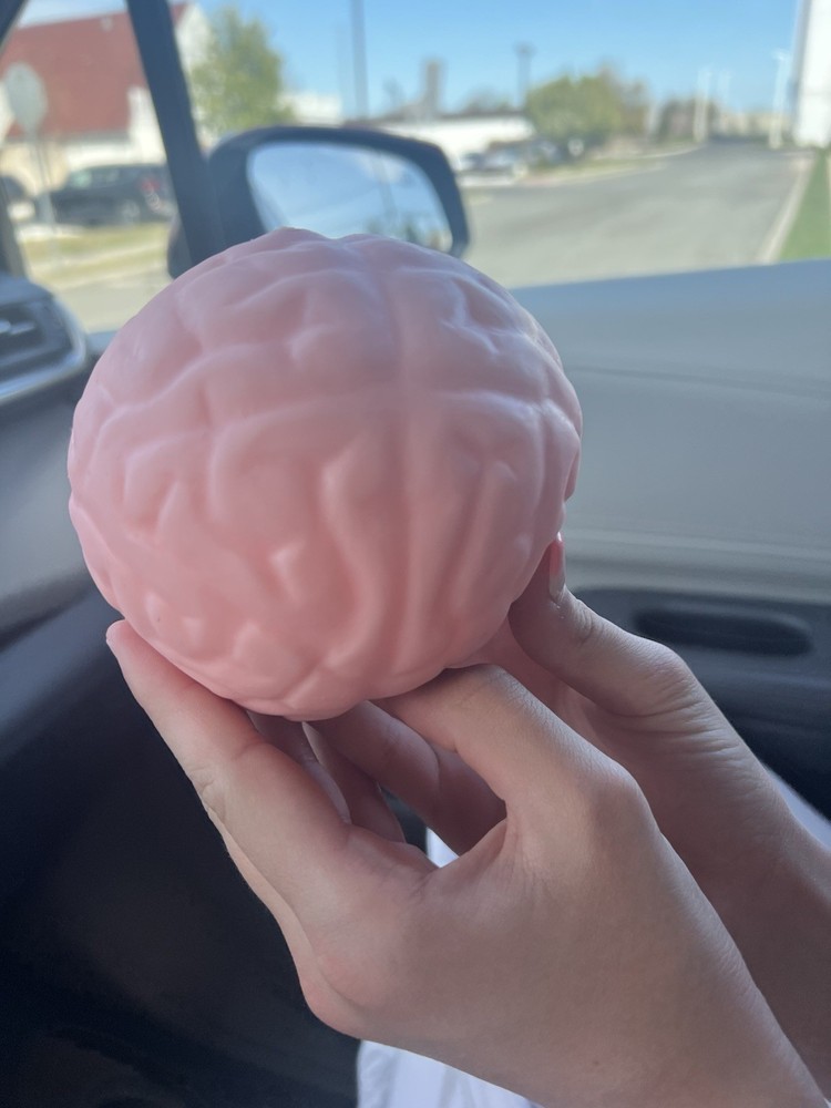 Kid fun Brain Squeeze Squishy Tik Tok Viral
