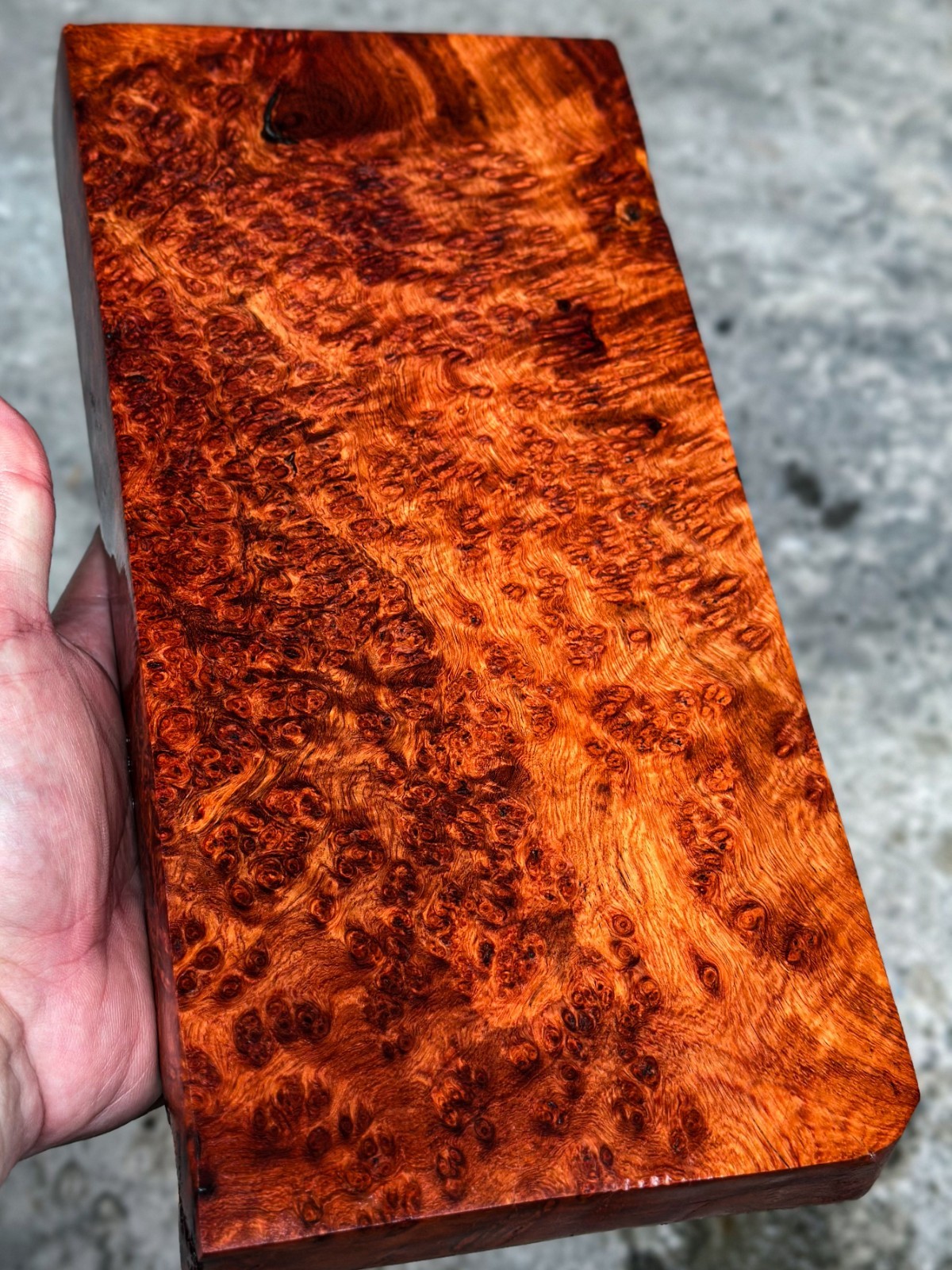 RARE!! Amboyna Burl ,Exotic Wood, Lumber, Knife Timber Handle Lumber #2895