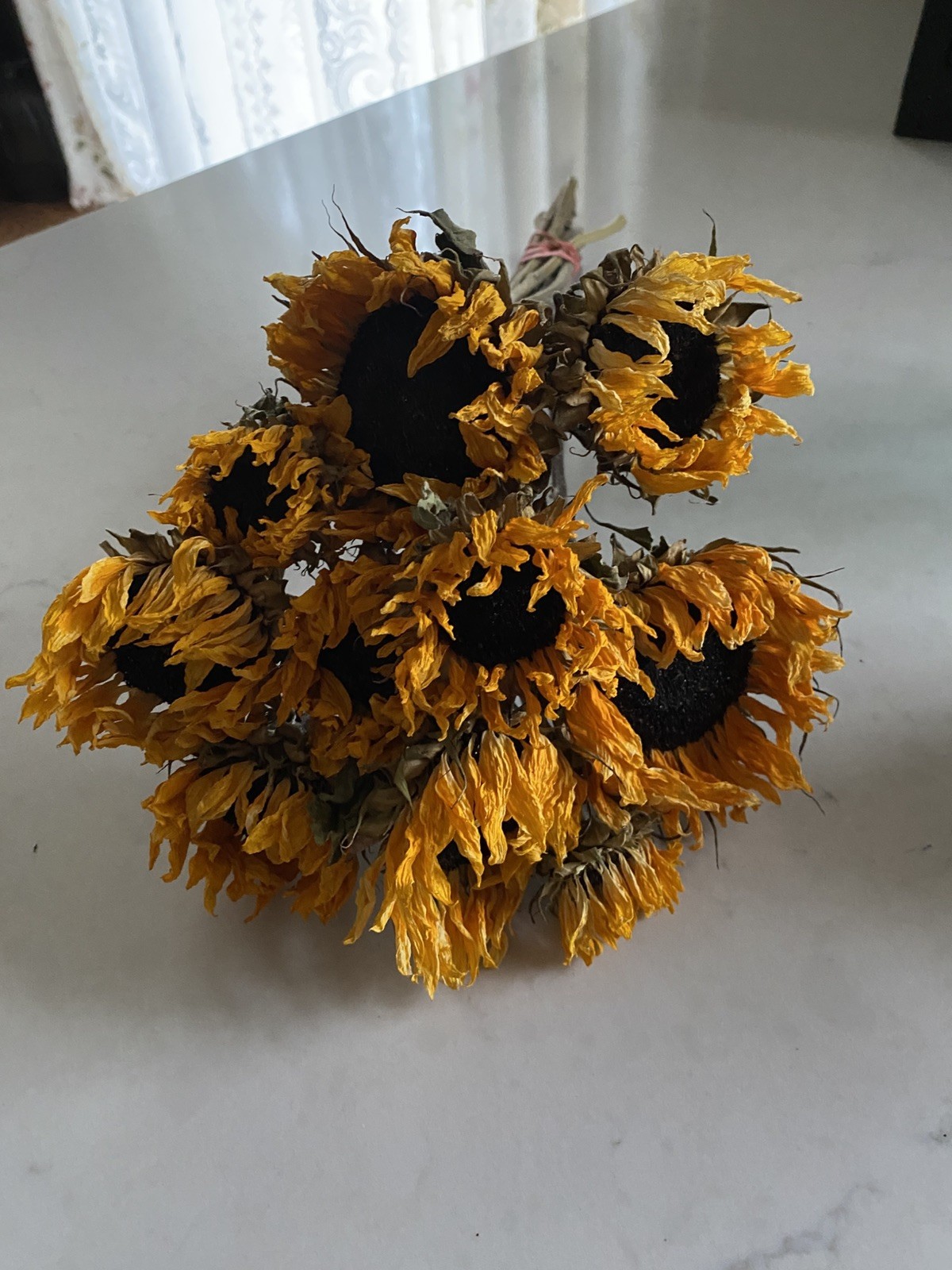 SUNFLOWERS Orange DRIED FLOWER Bunch BOUQUET Bundle USA Grown SUN FLOWERS Auc#2