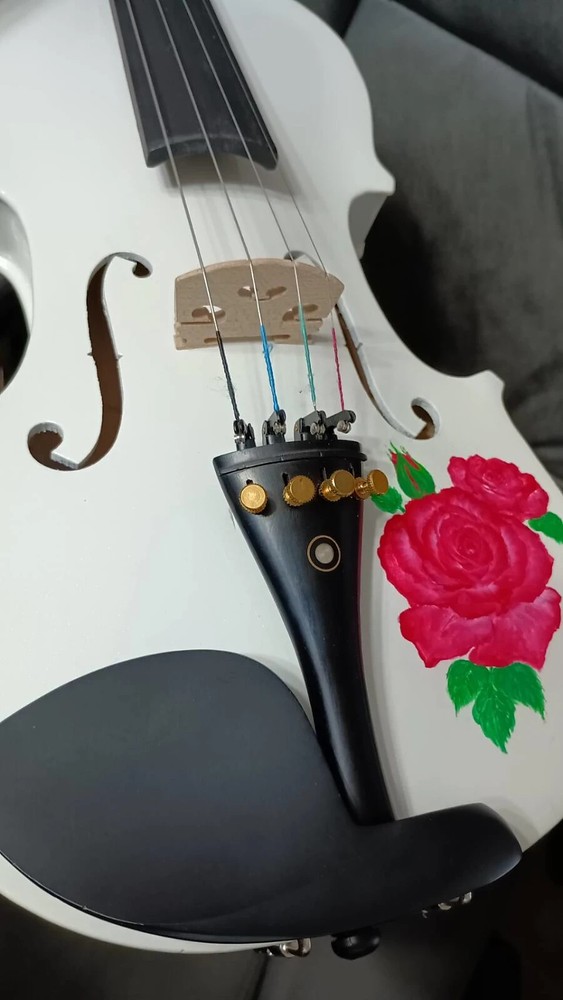 PEACOCK HAND-PAINTED SOLID SPRUCE TOP MAPLE BACK/SIDES VIOLIN 4/4