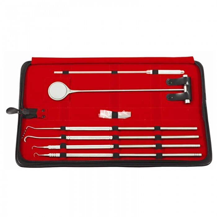 Equine Periodontal Instrument Set