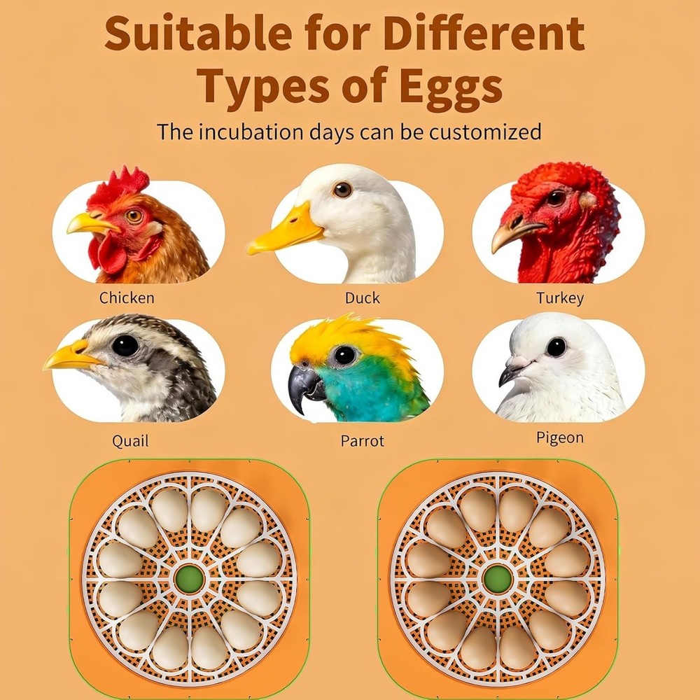 12‑Egg Incubator with Auto Turner & LED Display