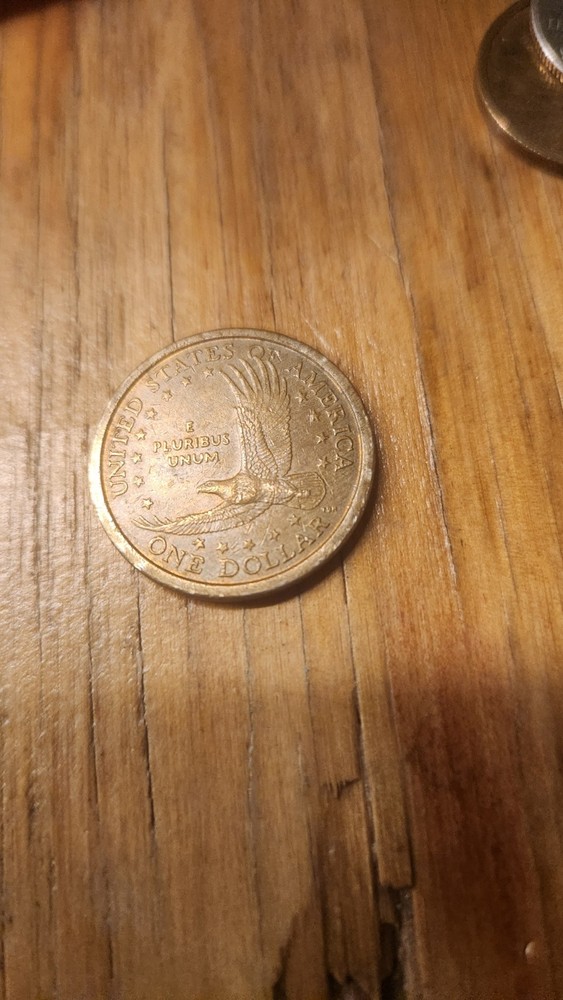 Sacagawea 2000 Dollar with P-Error Near Eyes