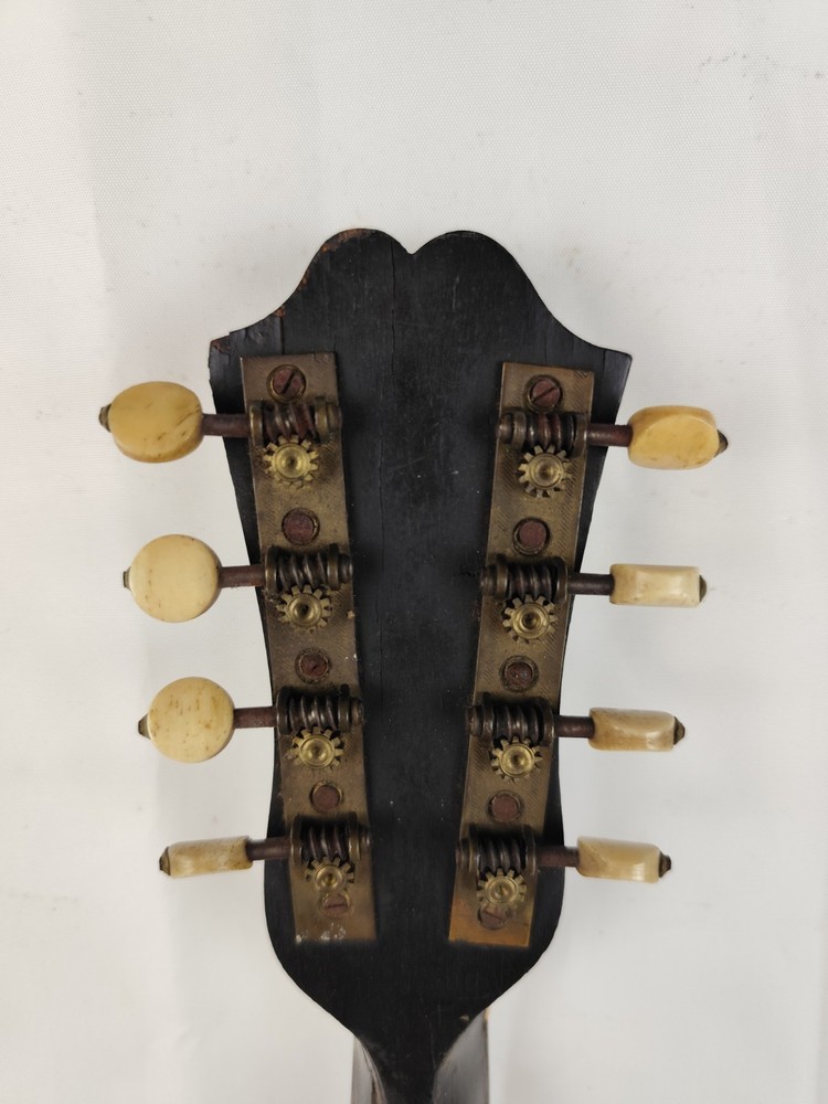 Mandolin 4/4 Viscardo Maccolini 1925 Milan 曼陀林 만돌린マンドリン