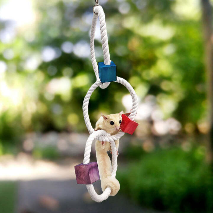 Tri-Hoop - Hanging Round Multi-Level Rope Perch Swing Cage Accessory Toy