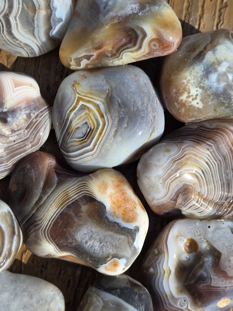 Botswana Agate Selects - WILD ONES - Rough, Natural, Not Polished A+ Grade