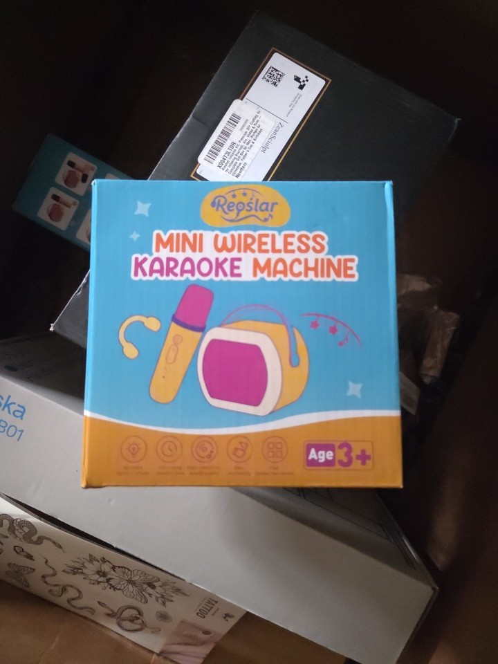 Reoslar Mini Wireless Karaoke Machine, High-Res Sound, Lighting, Pink