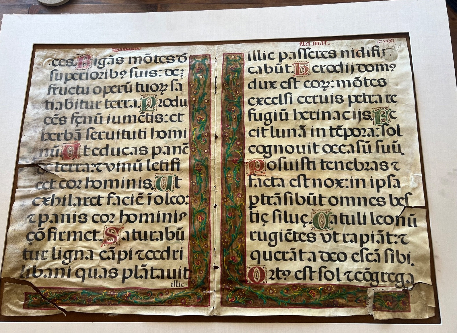 Rare Museum Large 15th century Illuminated Manuscript Leaf on Parchment