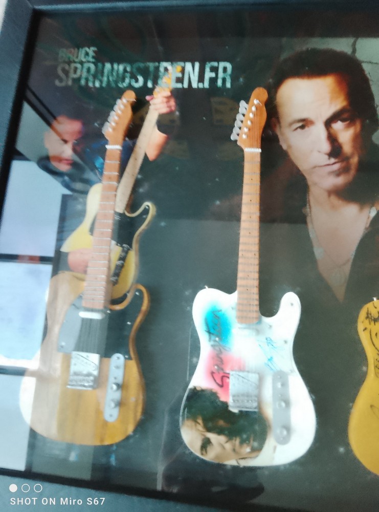 BRUCE SPRINGSTEEN SHADOW BOX