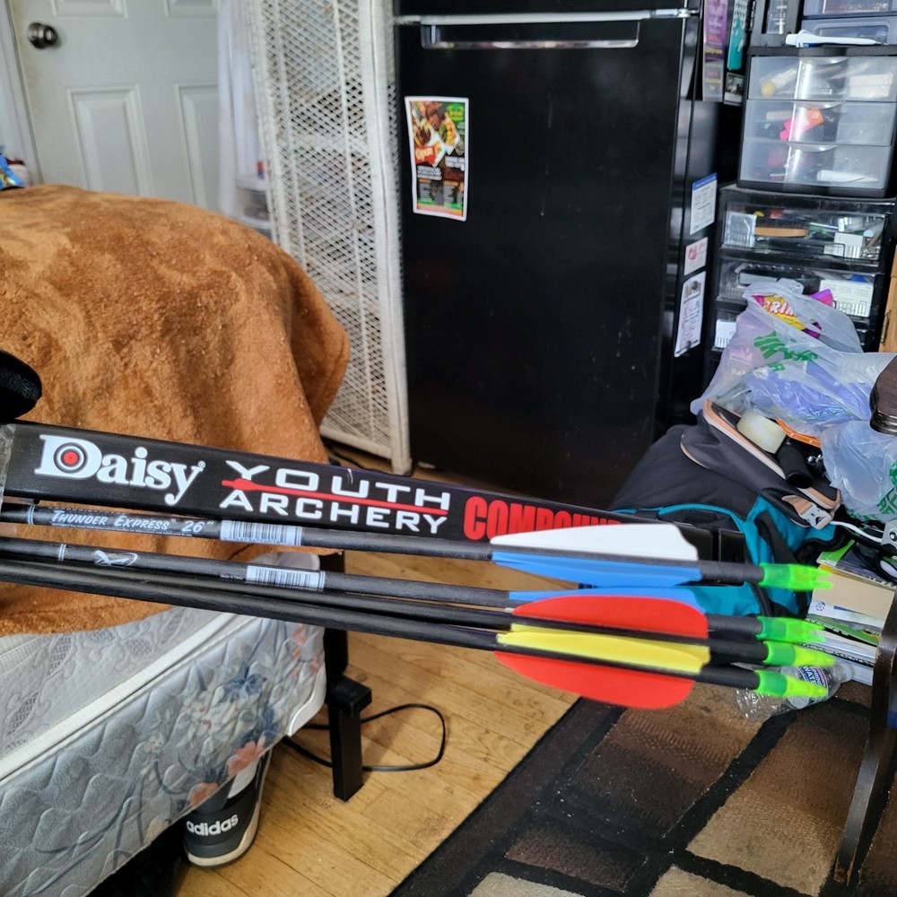 Daisy Youth Archery Compound Bow & 4 Arrows & Quiver (2 Round Tips/2 Sharp Tips)