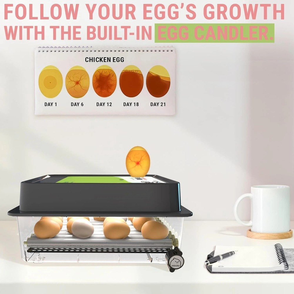 OBI-36 Egg Incubator - Hatching 36 Eggs with Auto Turner & Insulation - Green