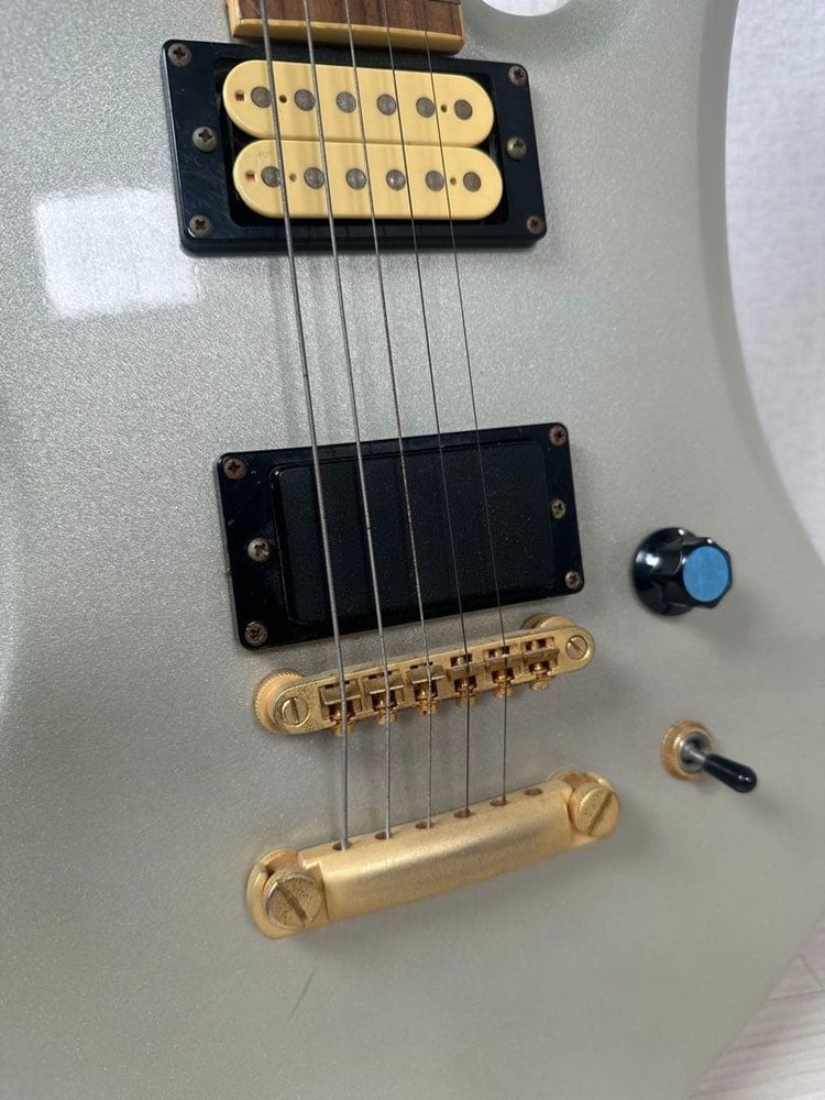 K.Garage Electric Guitar Mockingbird Hide Model