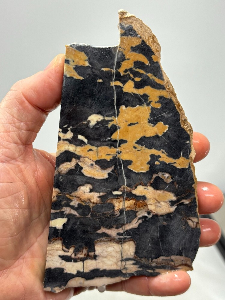 Large Roan Leopard Marble Rough Slab Cabbing Lapidary Combo Ship Avail