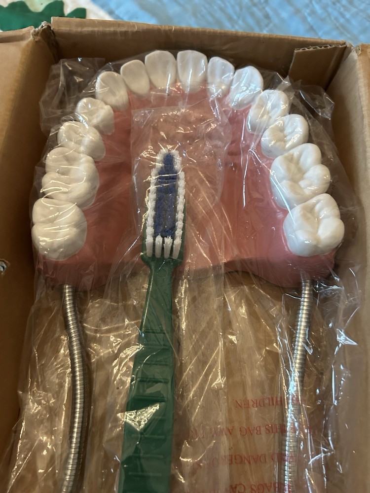 Oversized Dental Demonstration Model Includes Large Tooth Brush & Hinged Gums