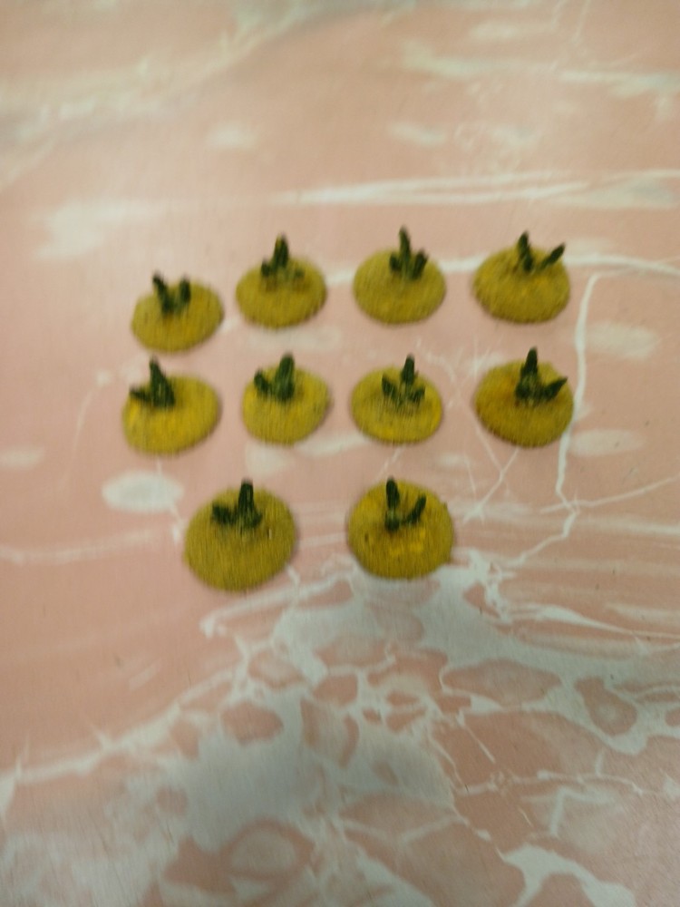 10 based Landscape Micro Model Barrel Cactus wargaming scenery terrain .5"
