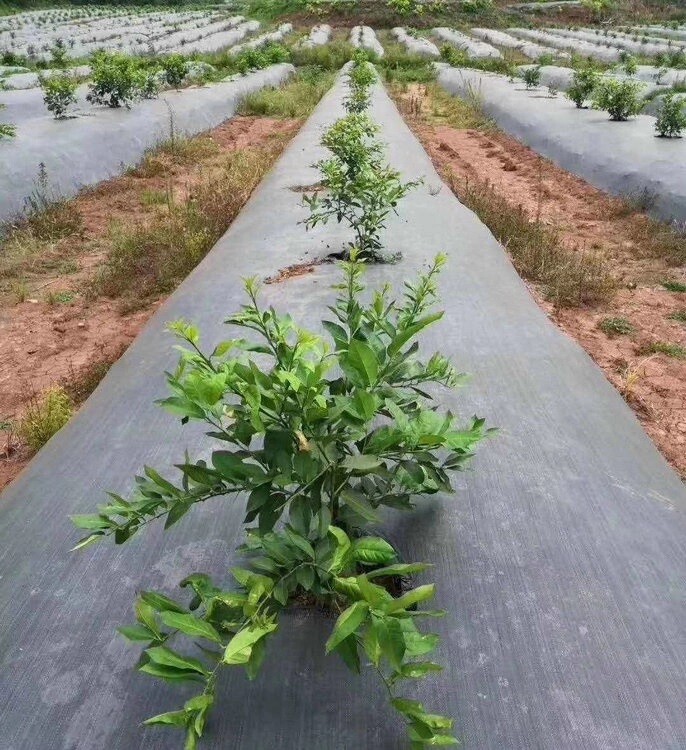 Heavy Duty Weed Barrier Fabric Landscape Fabric, Ground Cover, Land Fabric