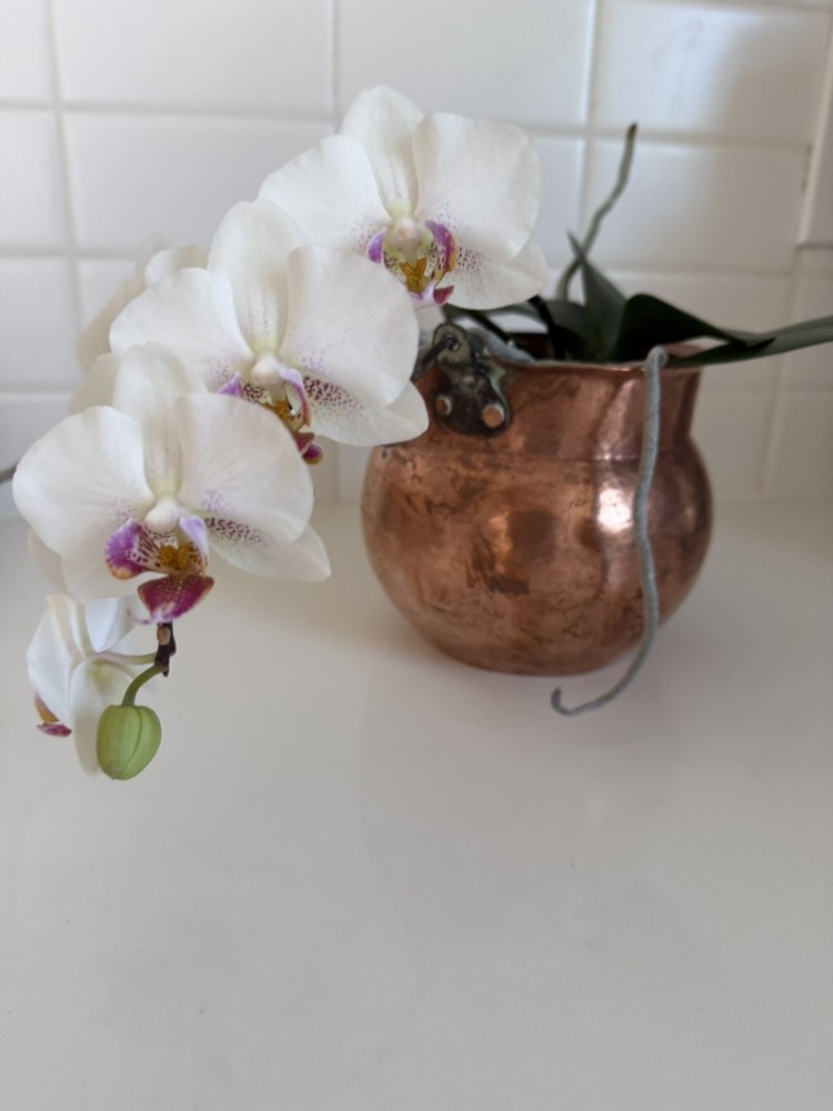 Set Of 2 Stacking Hammered Copper Planter/Pot/cauldron