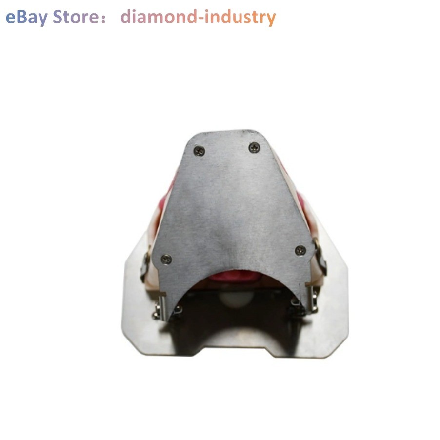 Dental anesthesia, tooth extraction practice dental model tooth simulation model
