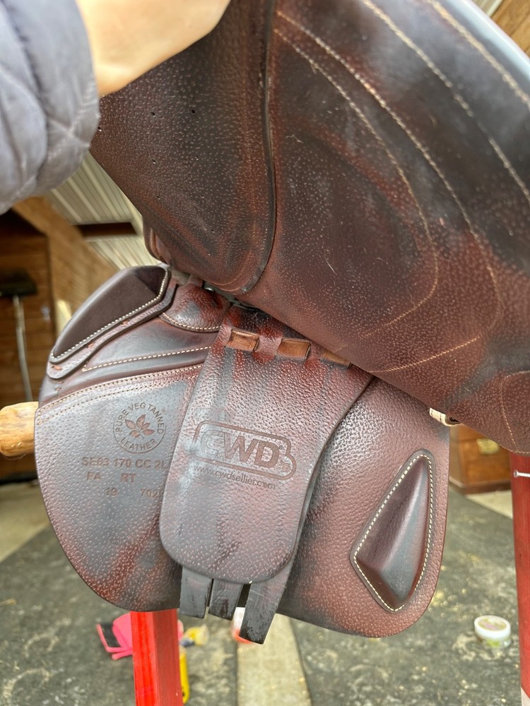 cwd saddle