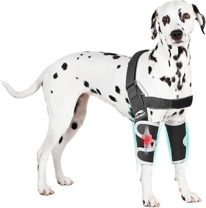 Dog Elbow Protector for Pets Elbow Dysplasia, Shoulder Dislocation - LARGE