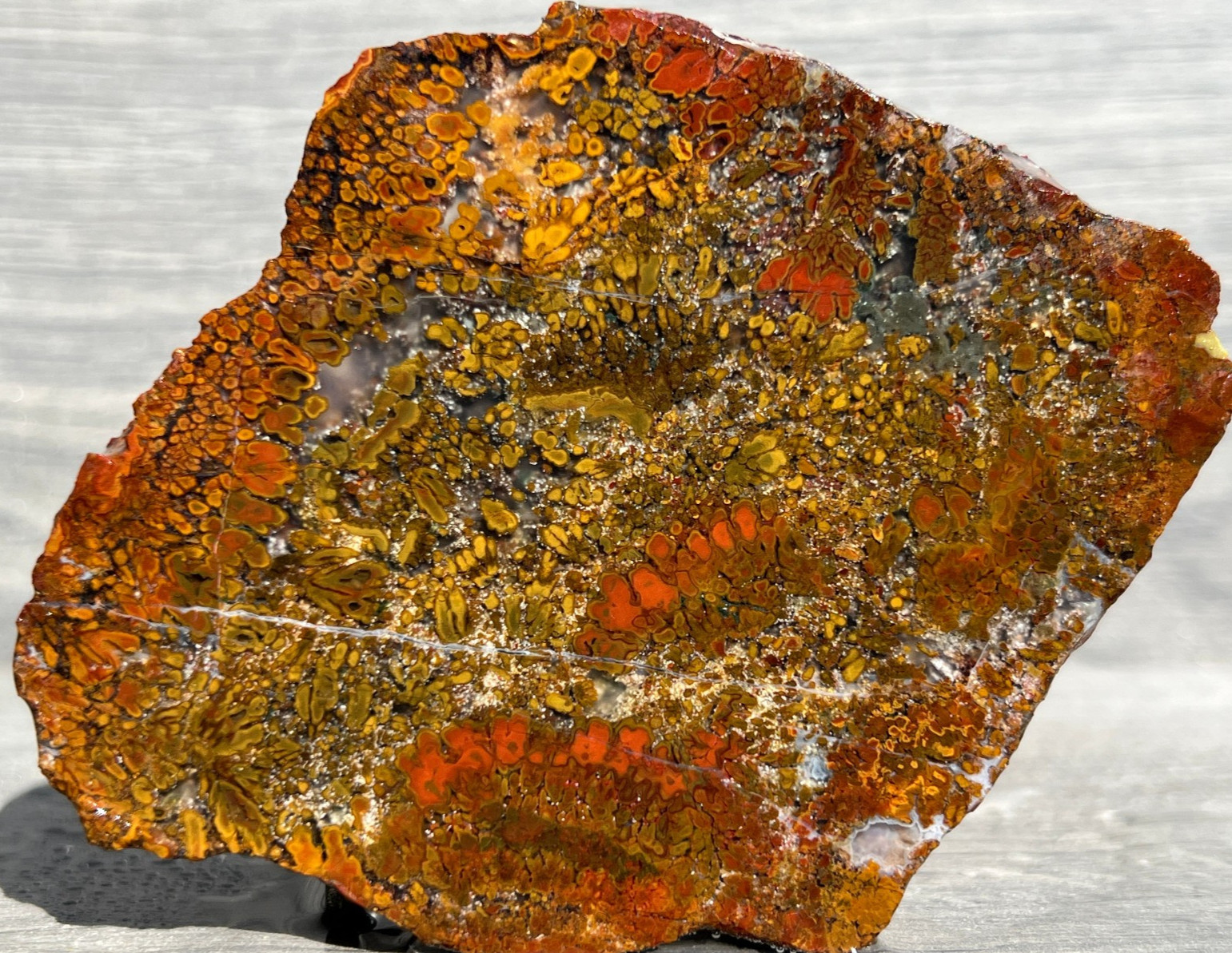 East Java Plume Agate - Indonesia 3.75"x3" High Grade Lapidary Rough Slab