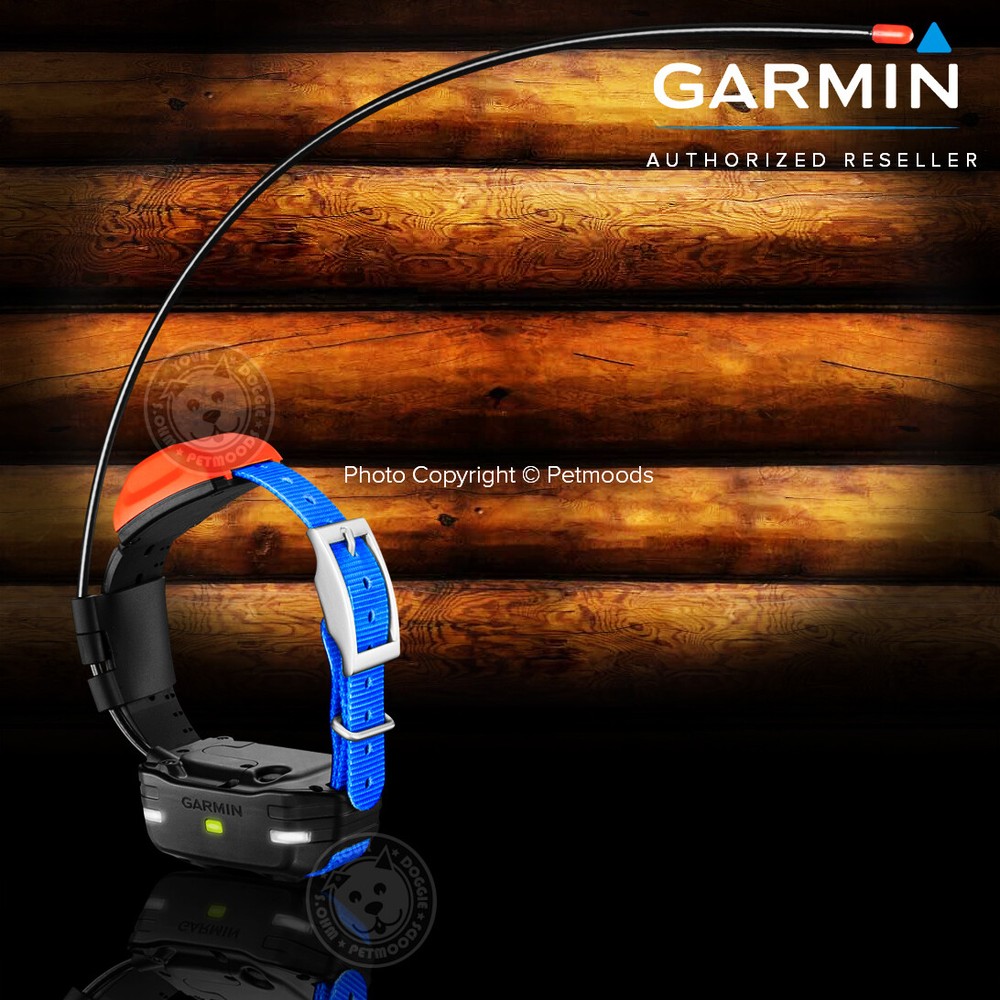 Garmin T5 Mini GPS Tracking ONLY Collar - No Training