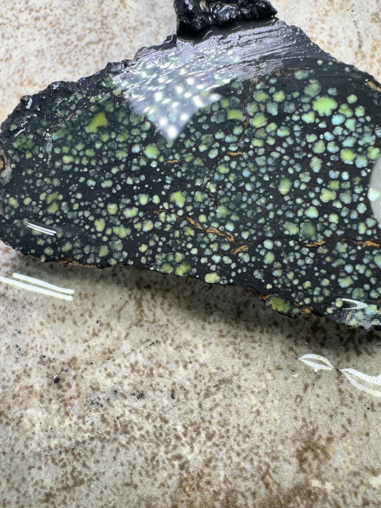 Natural Nevada Variscite rough star fox
